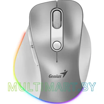 Мышь Genius Ergo 9000S Pro (серебристый)